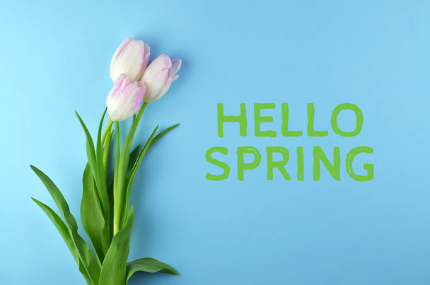 Three spring tulips on a blue background. - Foto, Bild