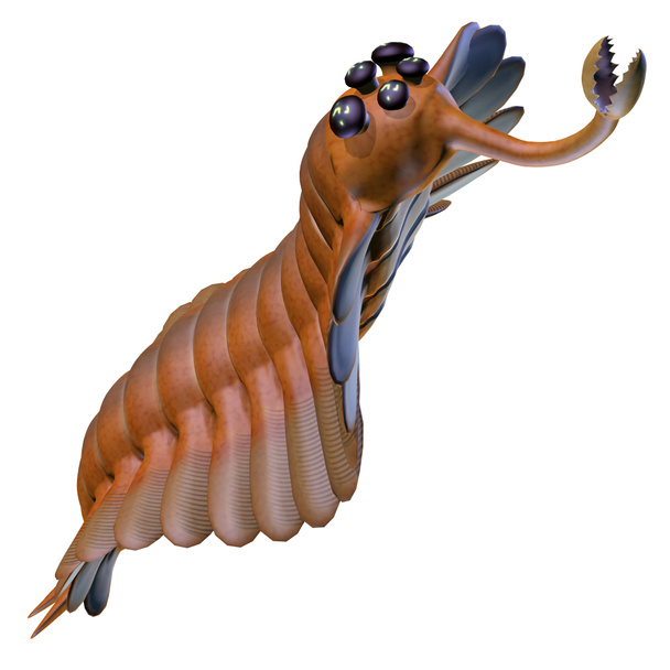 Кембрийская голова Опабинии
 - Фото, изображение