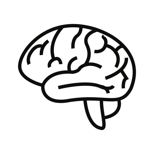 human brain organ - Vector, Image