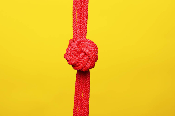 Red rope with knot on color background - 写真・画像
