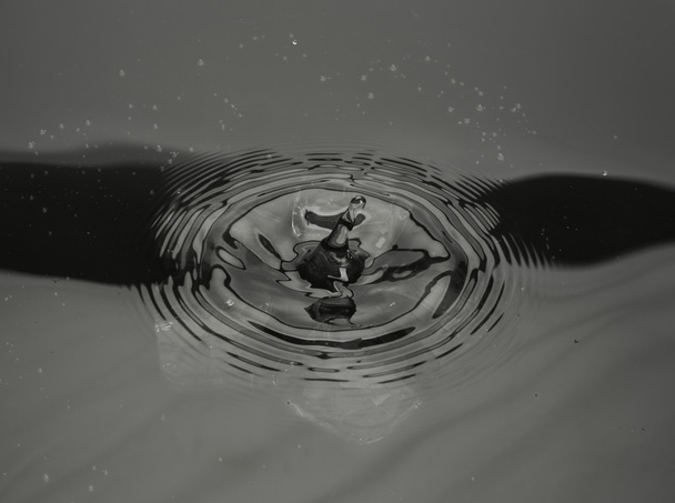 Water splash - Φωτογραφία, εικόνα