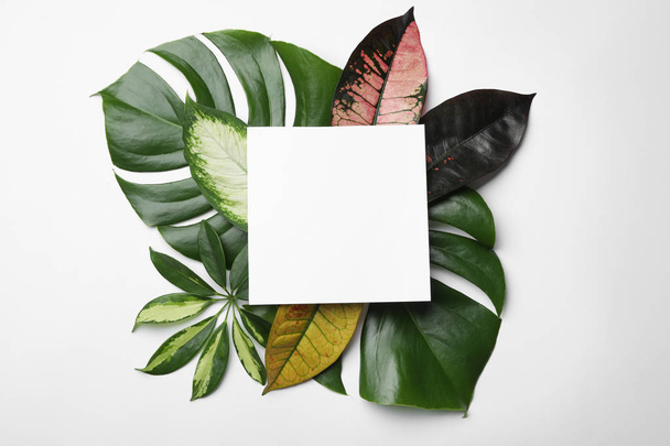 Beautiful composition with tropical leaves and blank card on white background, top view - Fotografie, Obrázek