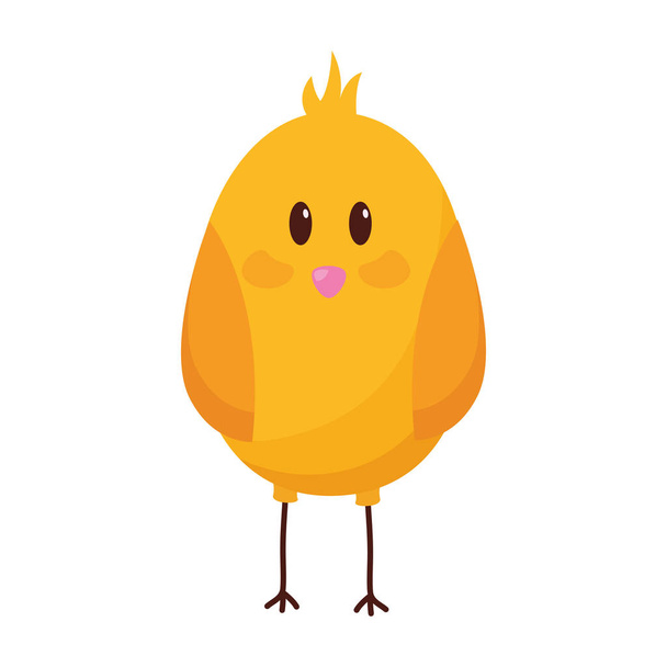 cute chick bird - Vector, Image