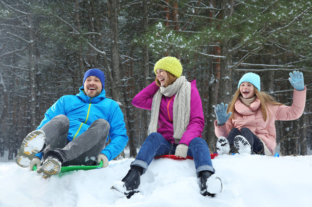 Happy family sledding in forest on snow day - Zdjęcie, obraz