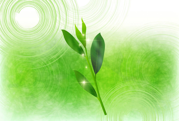 Tea friss zöld japán papír háttér - Vektor, kép