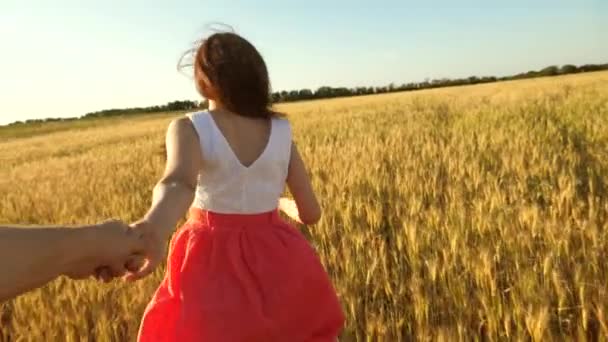 Rakastunut pari juoksee pellon poikki kädestä pitäen. kaunis tyttö kävelee pellolla vehnän kanssa, pitäen rakasta miestä kädestä. Onnellinen tytär ja isä juoksevat käsi kädessä. Hidastus
 - Materiaali, video