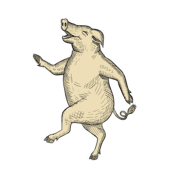 Jolly cerdo bailando dibujo Color Retro - Vector, imagen