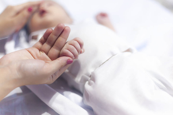 newborn baby boy hands - Photo, Image