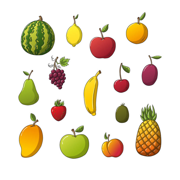 いくつかの異なる果物のコレクション - ベクター画像