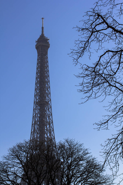 Eiffel Tower behind the trees against the blue sky. - Photo, Image