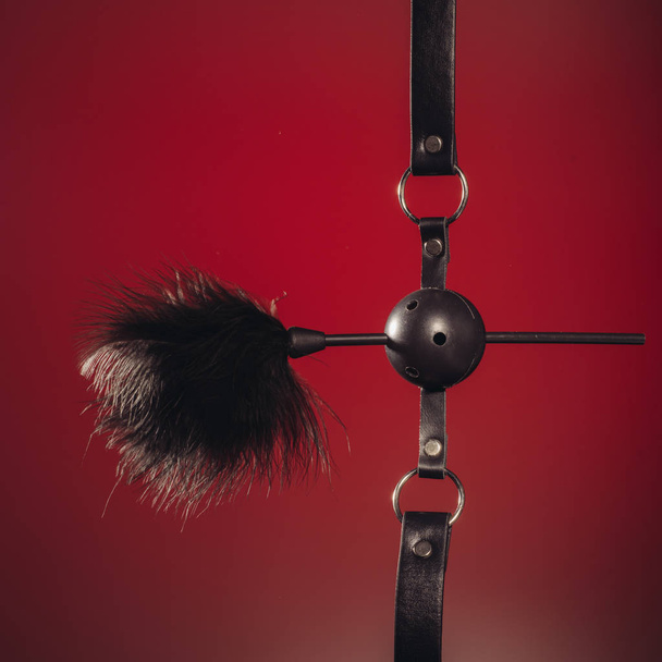 gefiederte und Ball-Gag-Fetisch-Ausrüstung isoliert auf rotem Hintergrund - Bild - Foto, Bild