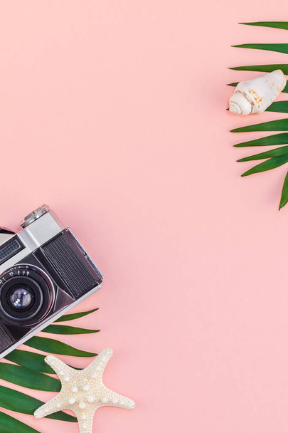 熱帯のヤシの葉の休暇ピンクの背景 - 写真・画像