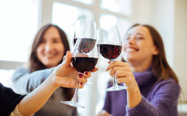 Group of girls (women) drinking red wine, celebrating and having fun together, focus on clinking glasses - Zdjęcie, obraz