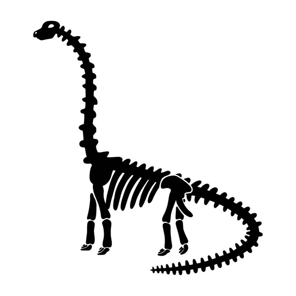 Diplodocus esqueleto de dinosaurio vectorial
. - Vector, Imagen