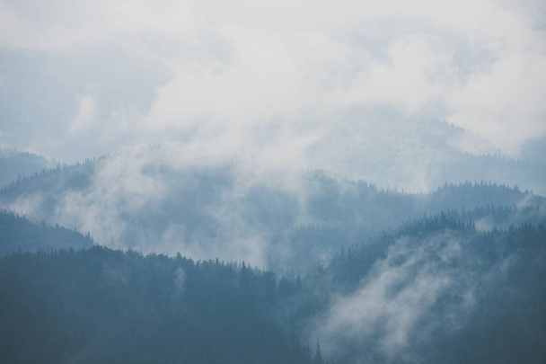 Misty landscape of mountain and forest. Summer foggy and cloudy morning - Photo, image
