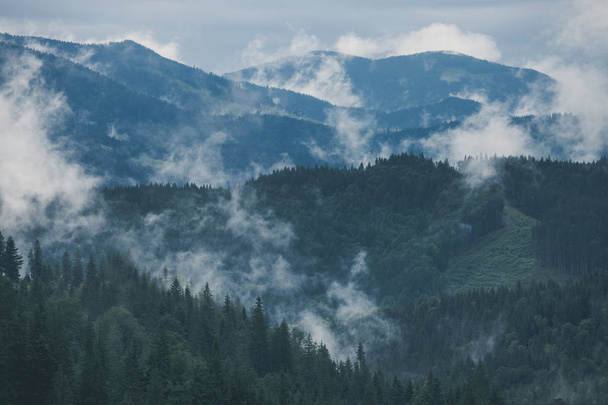 Ködös táj hegy és erdő. Nyári ködös, felhős reggel - Fotó, kép