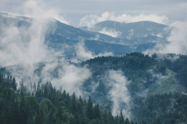 Misty landscape of mountain and forest. Summer foggy and cloudy morning - Foto, Imagem