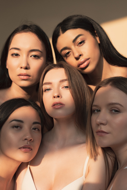 cinque attraenti giovani donne multiculturali che guardano la fotocamera alla luce del sole
  - Foto, immagini