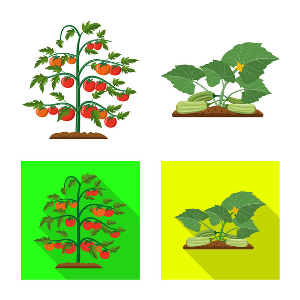 Vector design of greenhouse and plant symbol. Set of greenhouse and garden stock symbol for web. - Вектор,изображение