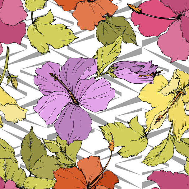 Vector Hibiscus flor botánica floral. Arte de tinta grabada. Patrón de fondo sin costuras. Textura de impresión de papel pintado de tela
. - Vector, Imagen