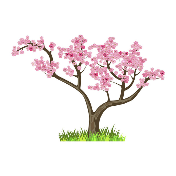 Árbol japonés. Sakura. Naturaleza y ecología. Objeto natural para el diseño del paisaje o el parque Cherry Blossom Season. Árbol floreciente
 - Vector, imagen