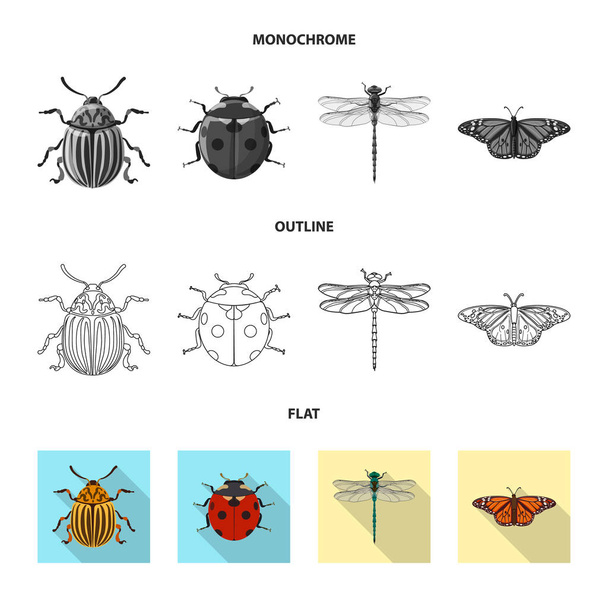 Isolated object of insect and fly symbol. Collection of insect and element stock vector illustration. - Вектор, зображення