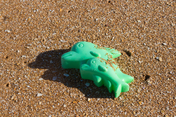 Ökologie: Entdeckungen am Strand - grüne Dopine schimmeln - Foto, Bild