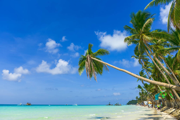 Plage tropicale avec cocotier, sable blanc et mer turquoise, baie de Boracay
 - Photo, image