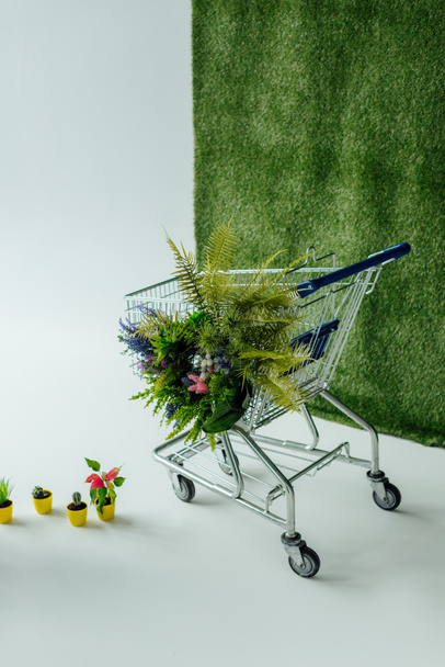 Winkelwagen met bloemen en varens op wit met groen gras - Foto, afbeelding