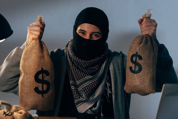 Radosny terroryzmu w maskę przytrzymując torby z dolarów i patrząc na kamery - Zdjęcie, obraz