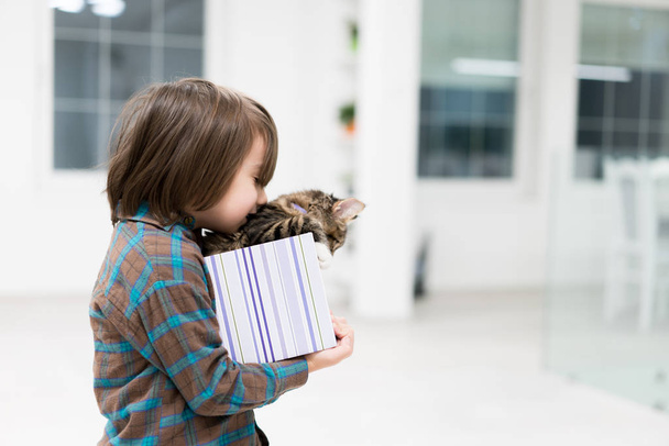 Little boy playing with his cat in little gift box - Φωτογραφία, εικόνα