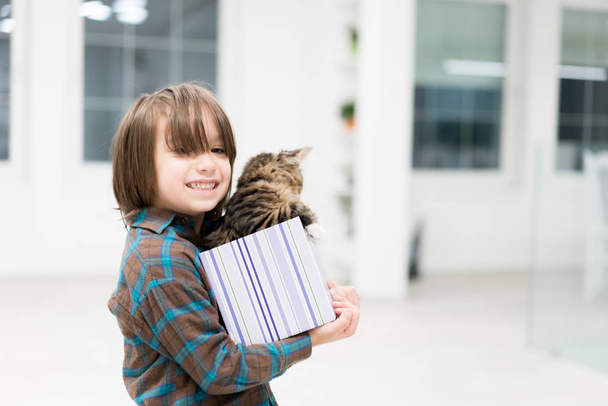 Piccolo ragazzo che gioca con il suo gatto in una piccola scatola regalo
 - Foto, immagini