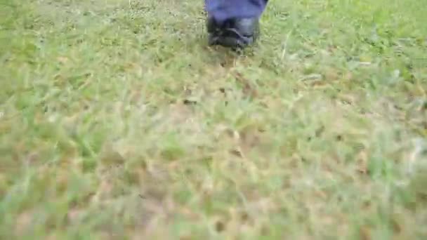 The feet of men in shoes go on the grass. - Video, Çekim