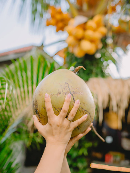 Woman hands and fresh coconut with bamboo straw - 写真・画像