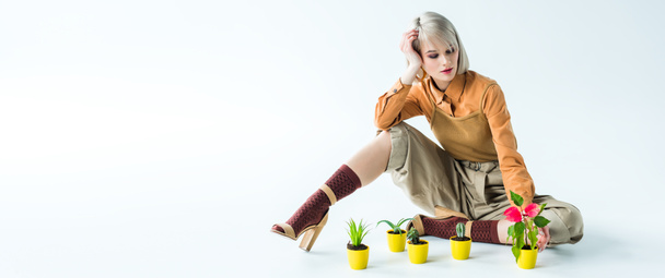 panoramic shot of beautiful stylish girl posing with flower pots isolated on white with copy space - Fotoğraf, Görsel