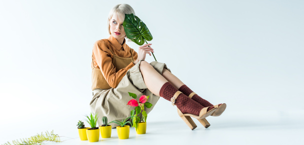 panoramic shot of beautiful stylish girl posing with flower pots and green leaf on white  - Фото, изображение