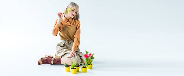 panoramic shot of beautiful stylish girl posing with flower pots and fern leaf on white  - Fotoğraf, Görsel