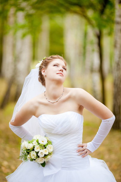 beautiful bride on the nature - Foto, afbeelding