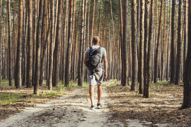 Мандрівник гуляє з рюкзаком на брудній дорозі в сосновому лісі. Концепція пішого туризму в лісі і горах
 - Фото, зображення