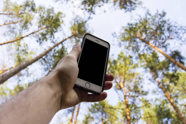 Mężczyzna ręka trzyma telefon nad jego głową na tle drzew w lesie sosnowym. Koncepcja nie usługi, wifi, internet w lesie lub w miejscu, daleko od miasta - Zdjęcie, obraz
