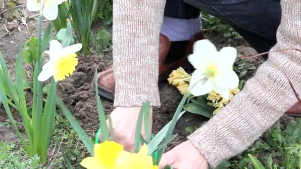 Gartenarbeit - Filmmaterial, Video