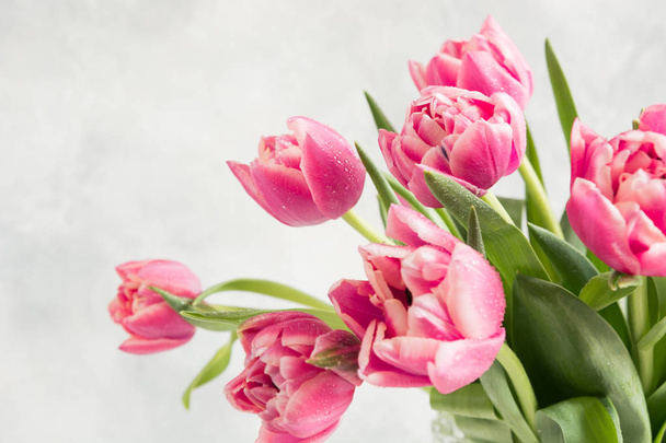 Spring. Pink tulip on vintage white. Mothers day. Space for text. - Valokuva, kuva