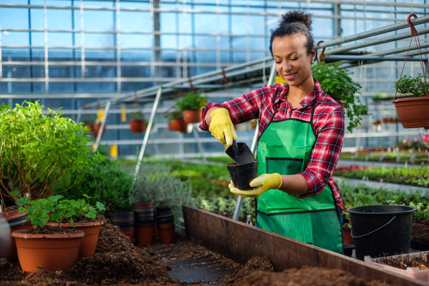Musta nainen työskentelee kasvitieteellinen puutarha
 - Valokuva, kuva