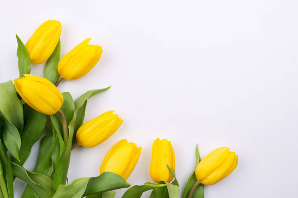 Easter background with yellow tulipson on white. Greeting card for mother's day. Copy space. Flat lay - Фото, изображение