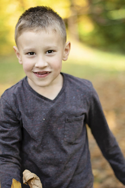 улыбающийся мальчик без передних зубов в парке
 - Фото, изображение