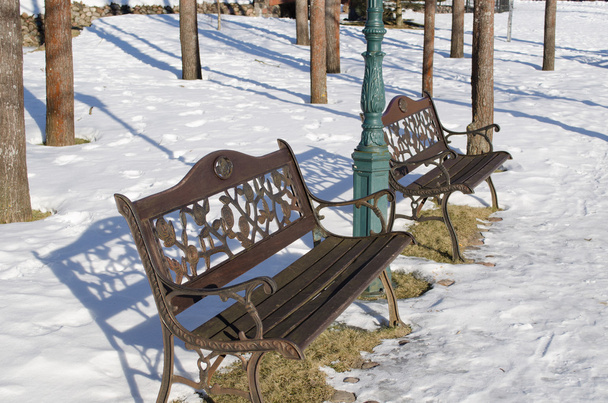 retro dekorációval padok park fa trunk hó téli - Fotó, kép