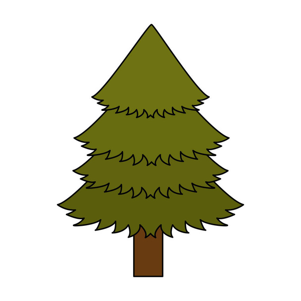 Pine tree design - Vector, Image
