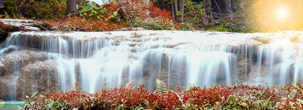 Colorful autumn landscape Beautiful waterfall amidst the rich and beautiful rainforest in Asia, Thailand nature concept background - Photo, Image