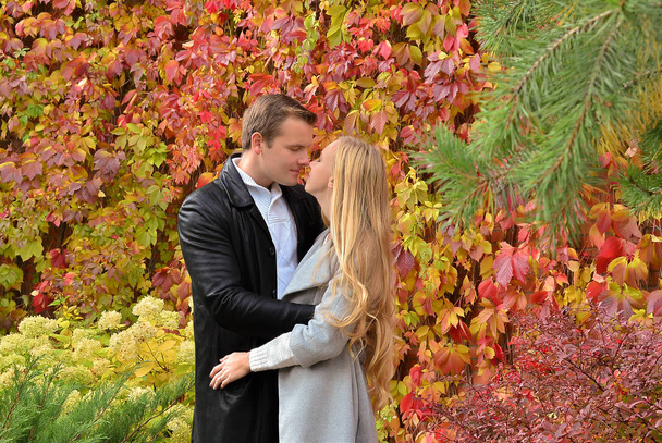 beautiful young couple  in autumn park  - Фото, изображение
