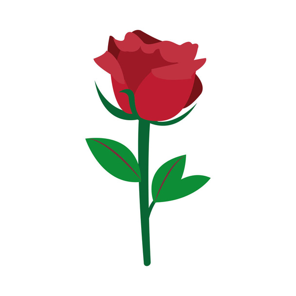 bunt schön Natur Rose Design Dekoration - Vektor, Bild